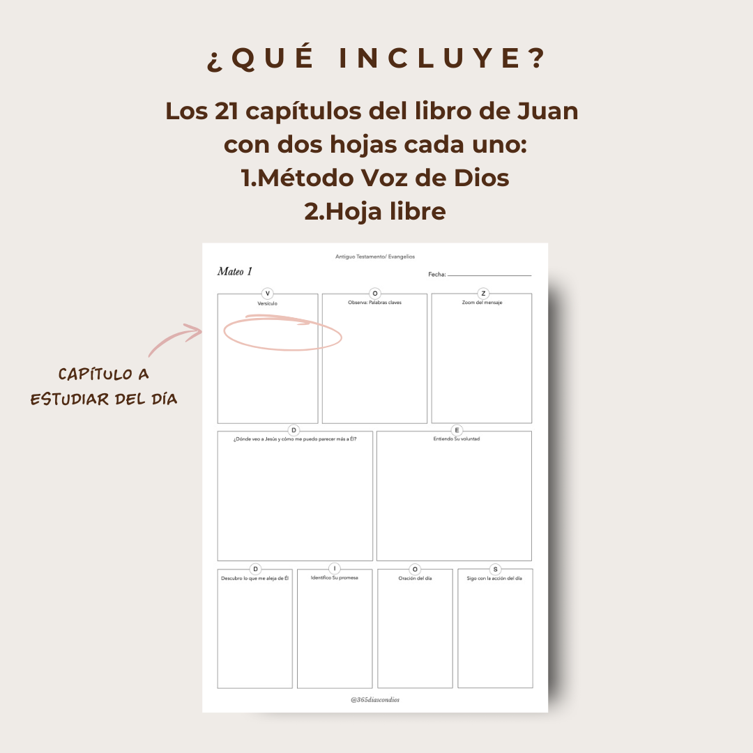 Plan lectura: Libro de Mateo