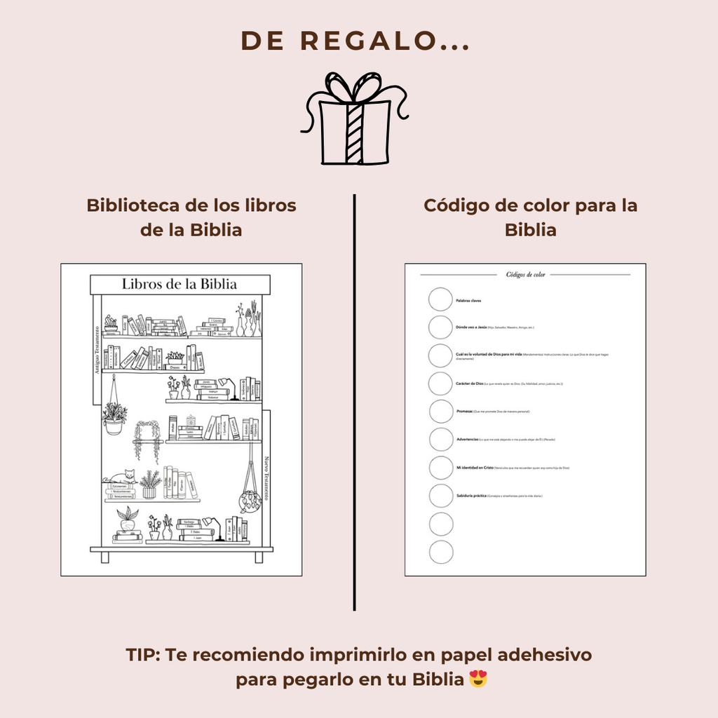 Diario de estudio de Génesis a Apocalipsis