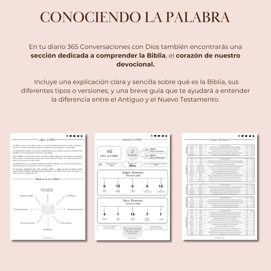 Diario devocional 365 conversaciones con Dios