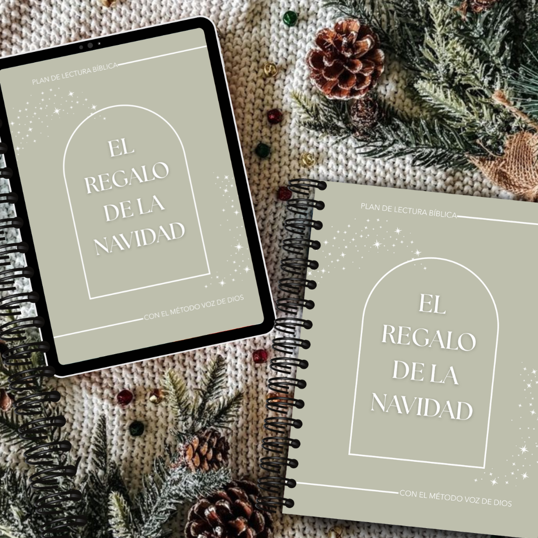 Plan lectura: EL regalo de la Navidad
