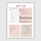 Apuntes- Libro Mateo