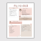 Apuntes- Libro Filipenses