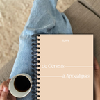 Plan lectura: Libro de Juan