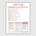Apuntes- Libro Marcos