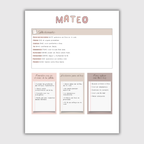 Apuntes- Libro Mateo
