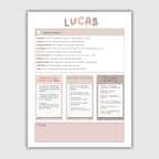 Apuntes- Libro Lucas