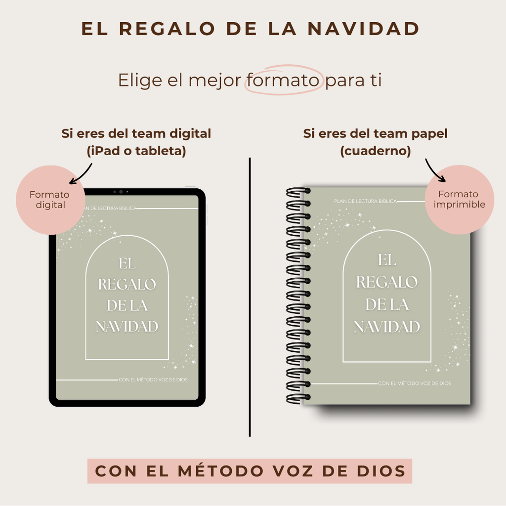 Plan lectura: EL regalo de la Navidad
