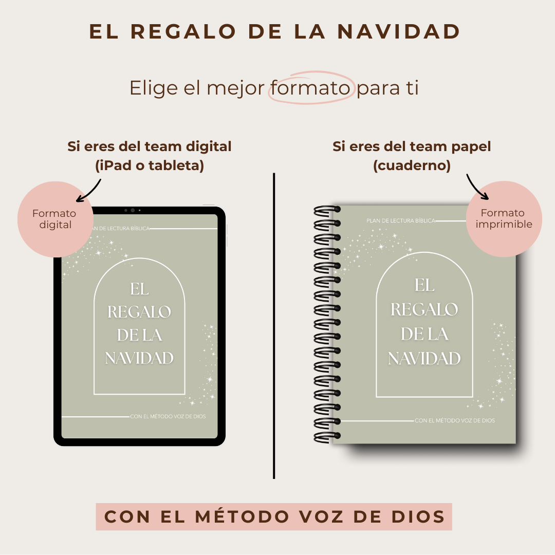 Plan lectura: EL regalo de la Navidad