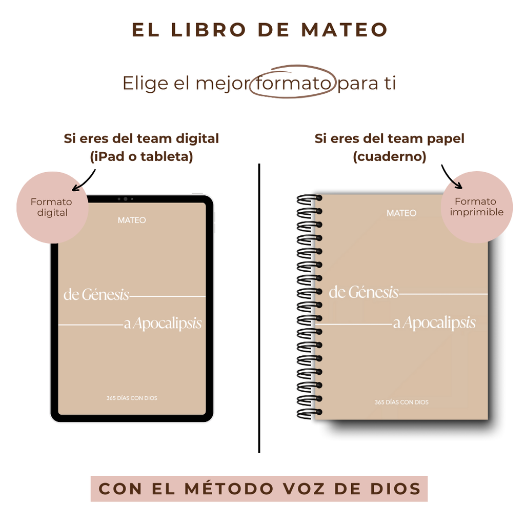 Plan lectura: Libro de Mateo