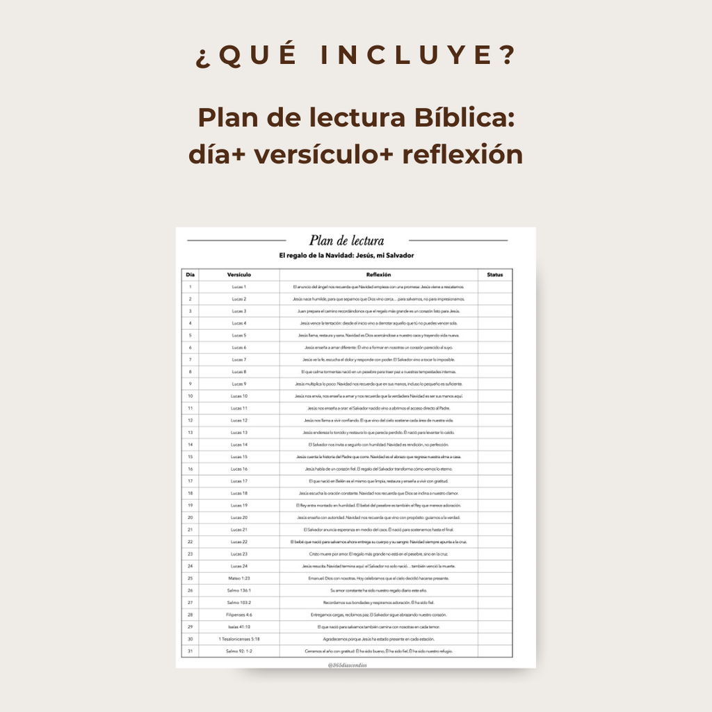 Plan lectura: EL regalo de la Navidad