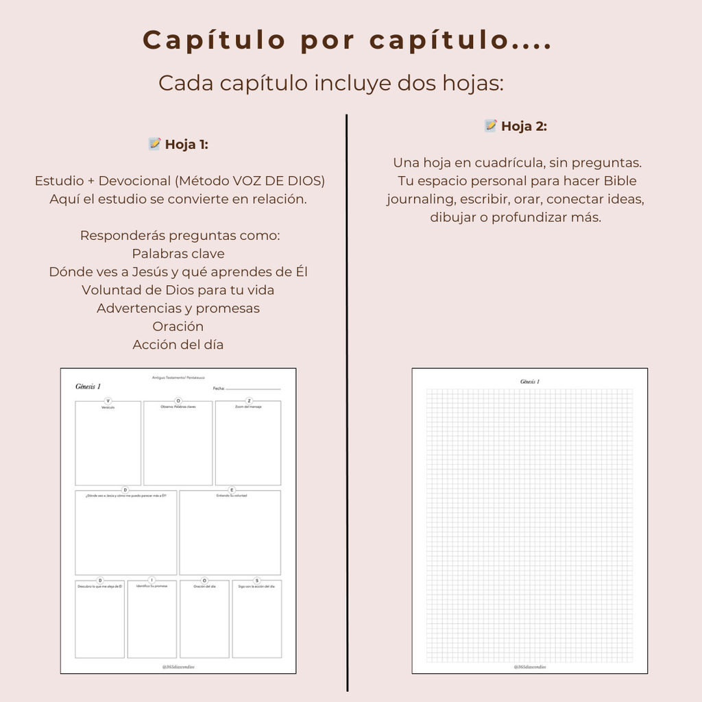 Diario de estudio de Génesis a Apocalipsis