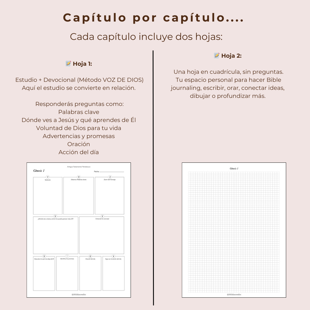 Diario de estudio de Génesis a Apocalipsis