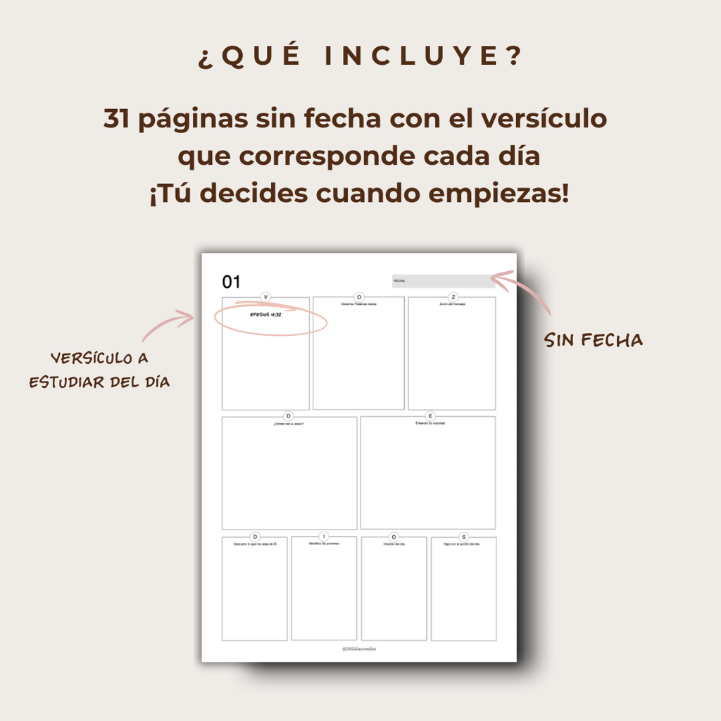 Plan lectura: Volver al centro: Jesús