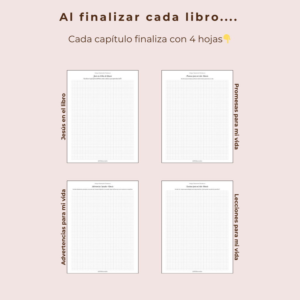 Diario de estudio de Génesis a Apocalipsis